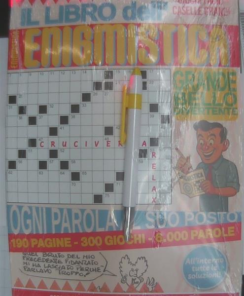 IL LIBRO DELL ENIGMI