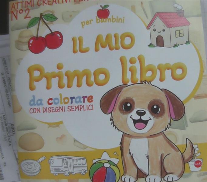 IL MIO PRIMO LIBRO