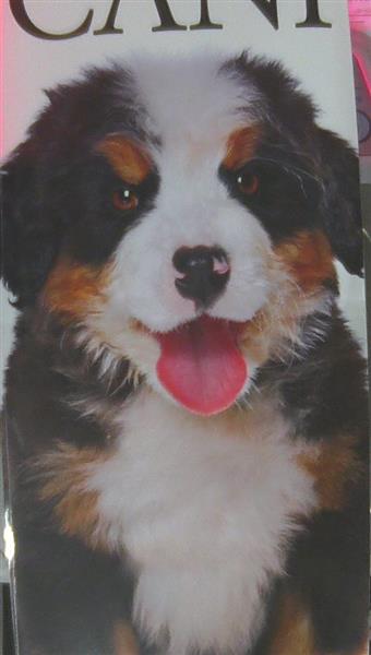 CALEN.IL MIO CANE CANI C.