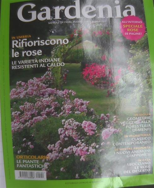 GARDENIA