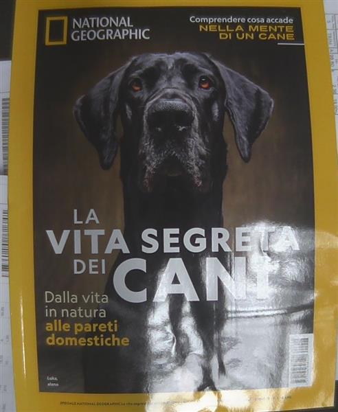 SPECIALE NATIONAL
