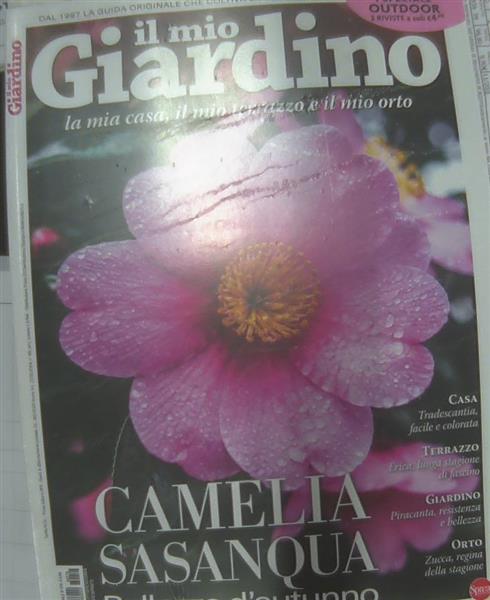 IL MIO GIARDINO