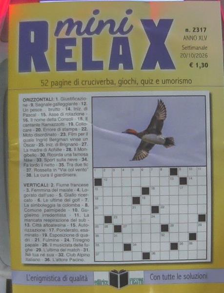 MINI RELAX