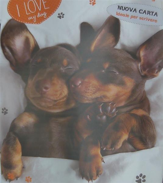 CAL.VITA DA CANI