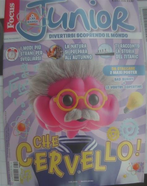 FOCUS JUNIOR