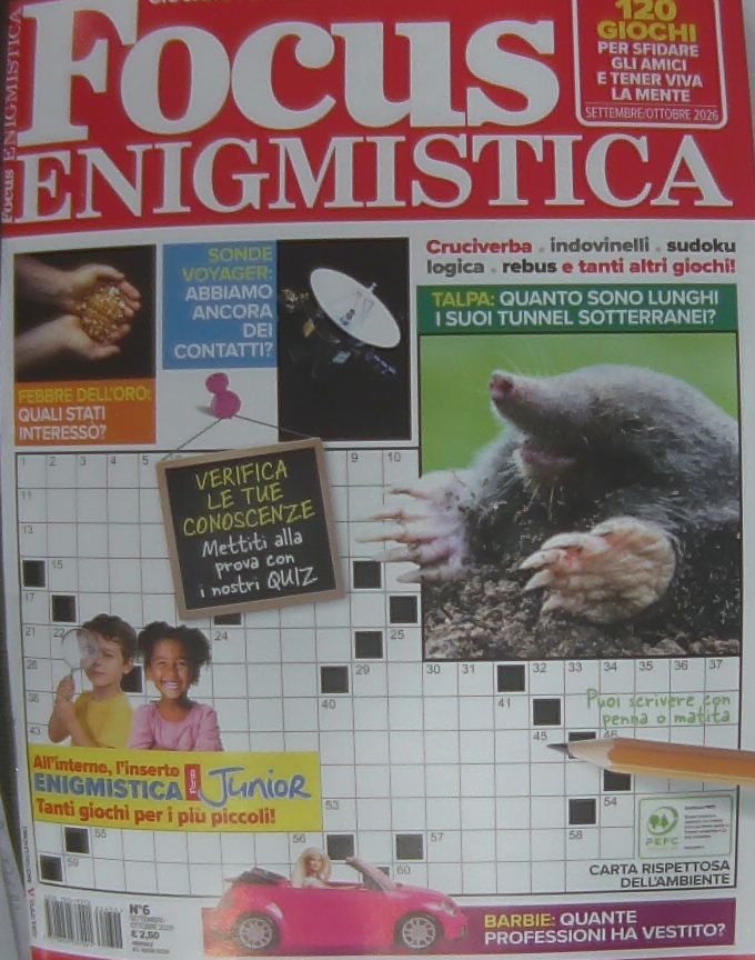 FOCUS ENIGMISTICA