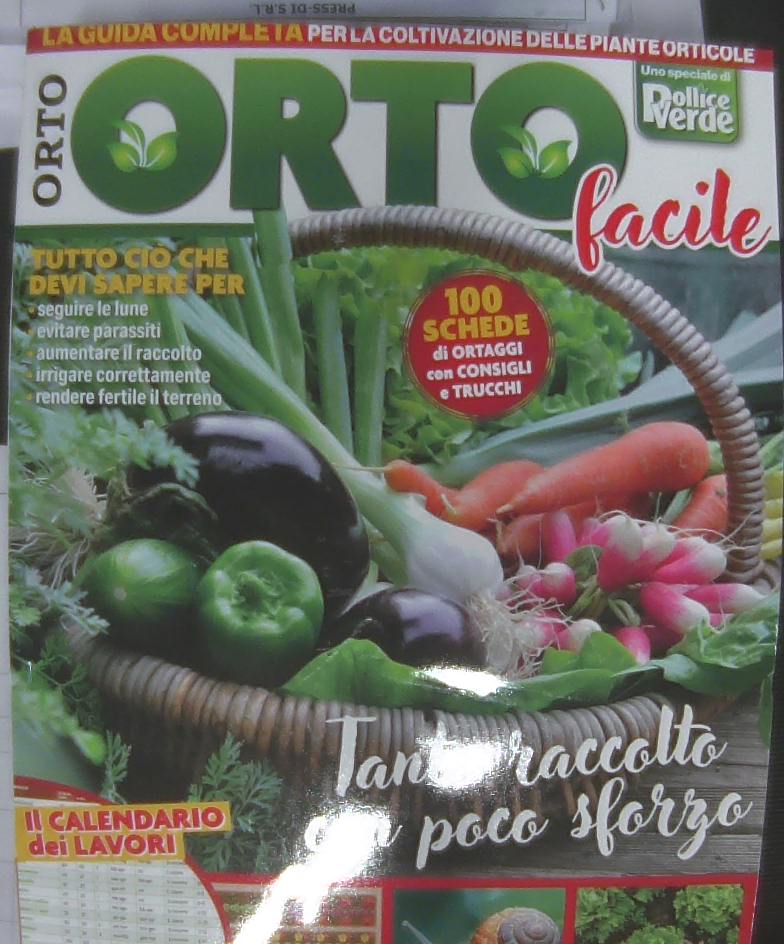 IL MIO ORTO PRATICO