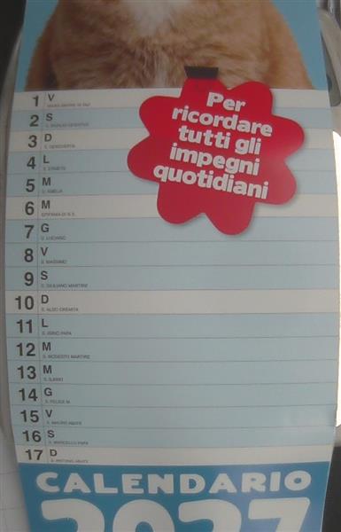 PASSIONE GATTI
