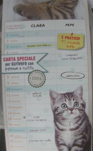 CALEN.AGENDA GATTI