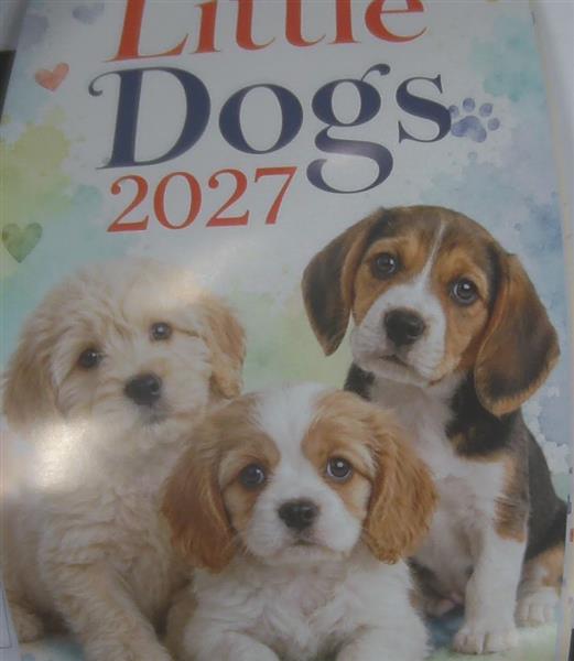 MY LITTLE DOGS