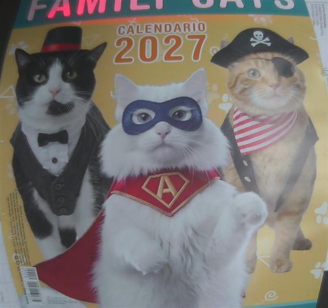 FAMILY CATS